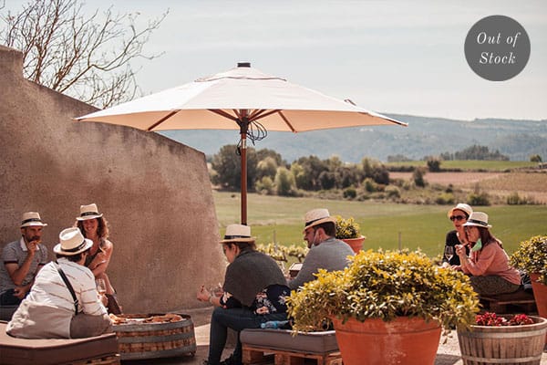 Wine tourism: Visit to the cellar and vineyards, wine and cava tastings, guided activities.