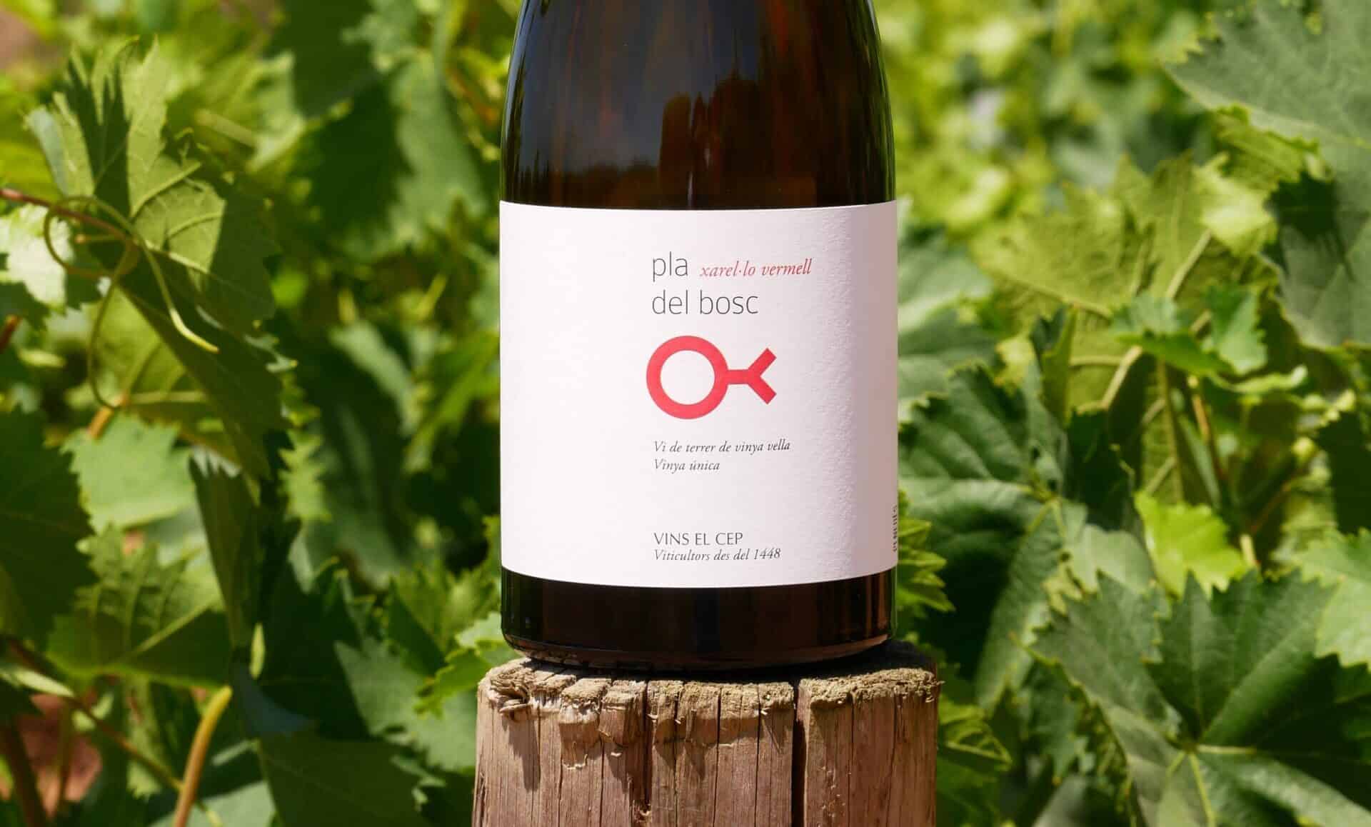 Pla del Bosc: Recovering the origin and tradition of Xarel-lo Vermell in Vins el Cep.