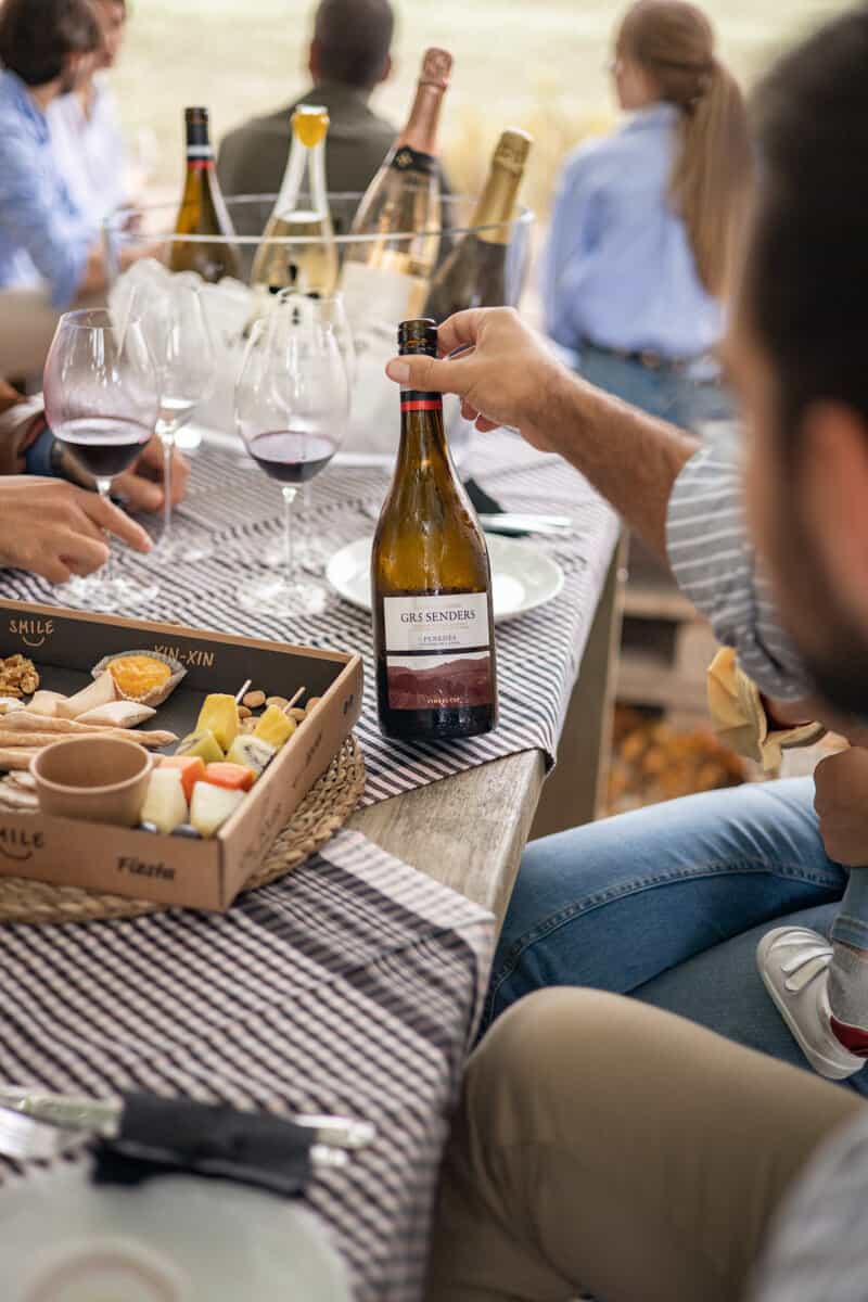 Winetourism Pícnic de verema