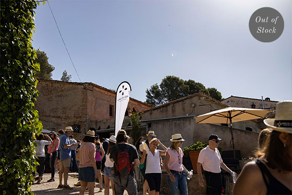 Wine tourism in El Penedès: Visit to the cellar and the vineyards, wine and cavas tastings, guided activities.