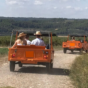 Gift Voucher: Visit Vins El Cep & Meharis