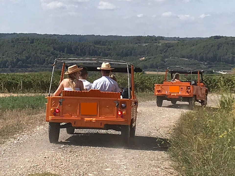 Enoturismo: Visita a la bodega y los viñedos, catas de vinos y cavas, actividades guiadas.