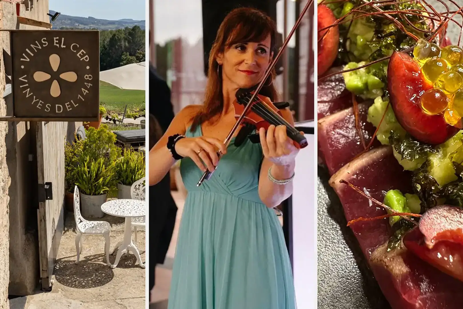 Enoturismo: Visita a la bodega y los viñedos, catas de vinos y cavas, actividades guiadas.